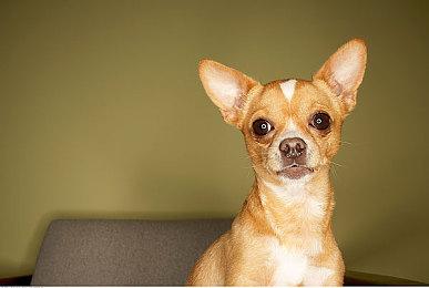 游戏版《魔女宅急便》《米卡与魔女之山》正式发售